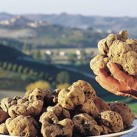 Esclusivo, Nel Cuore Del Monferrato * Asti